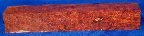 100_1477.jpg