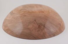 Cherry Bottom PolyWhey 01.jpg
