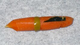Picture 121.jpg