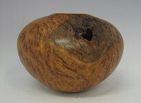 yellow-box-burl-2.jpg