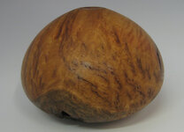 yellow-box-burl-5.jpg