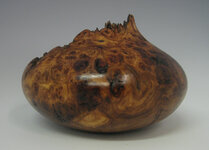 elm-burl-2.jpg