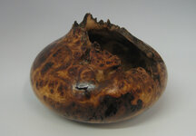 elm-burl-5.jpg