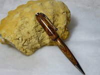 1st Pen #2.jpg