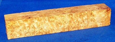 100_1491.jpg