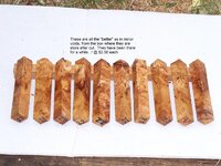100_1086.jpg