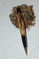 Pine Cone 1.jpg