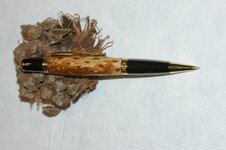 Pine Cone 4.jpg
