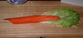 carrot-plumage.jpg