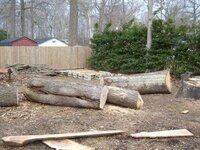 Look_at_the_wood.jpg