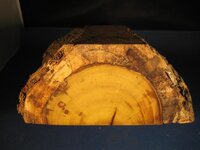 end grain.jpg