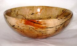 Spalted10c.jpg
