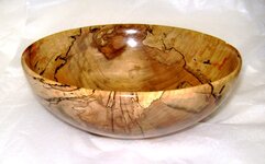 Spalted10b.jpg