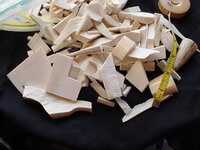 Ivory1.jpg