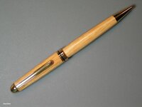 Euro Pen 100808 F02.jpg