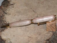 forest fire pine2.JPG