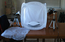 Setup-Tent.jpg
