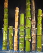 bamboo.jpg