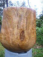 giant mango bowl 2.jpg