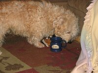 IMG_5218.jpg
