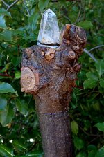 DSCF0006-1.jpg