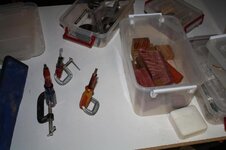 IMG_2923.jpg