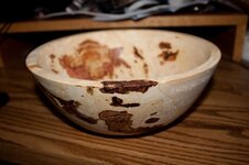 IMG_3040.jpg