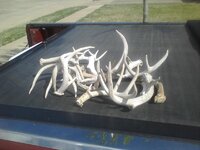 antler stash.jpg