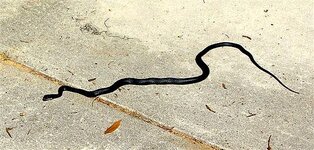 IMG_5052 (Small).JPG