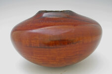 ancient-redgum-1.jpg