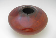 ancient-redgum-2.jpg