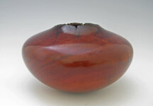 ancient-redgum-3.jpg
