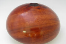 ancient-redgum-4.jpg