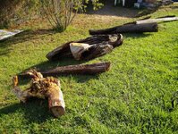 timber preparation 004_(1).jpg