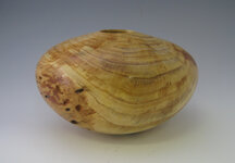 spruce-burl-HF-2.jpg