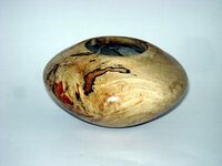 HF Spalted Maple.jpg