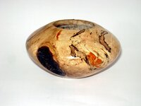 HF Spalted Maple2.jpg