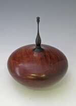 sheoak-HF-2.jpg