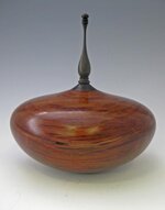 sheoak-HF-3.jpg