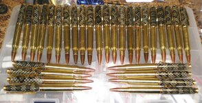 bullet-snake pens.jpg