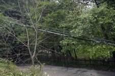 Lopping wires to ground 2.jpg