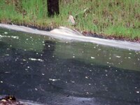 Water flowing over a SMALL stone.jpg
