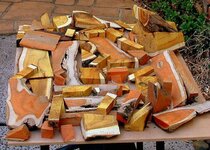 DSCF0009 [640x480] [640x480] [640x480].JPG