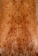 Tassie Euca Burl.jpg