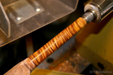 Curly Koa-9202.jpg