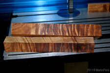 Curly Koa-9207.jpg