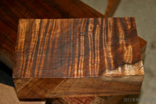 Curly Koa-9212.jpg