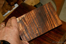Curly Koa-9214.jpg