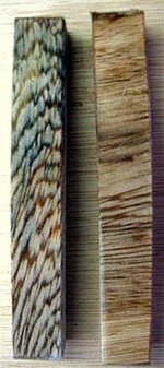 IMG_3496 (Small).JPG