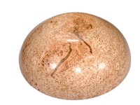 Black Ash Burl 1b.jpg